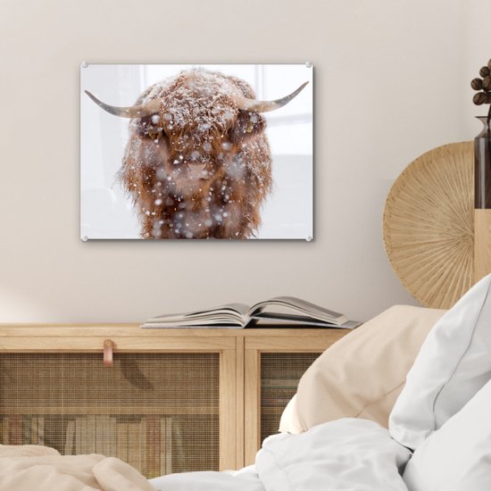 MuchoWow® Peinture sur Verre - Highlander écossais - Cornes - Neige - 40x30 cm - Peintures sur Verre Acrylique - Photo sur Glas