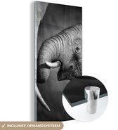 Glasschilderij - Foto op glas - Acrylglas - Wilde dieren - Olifanten - Zwart - Wit - 20x40 cm - Decoratie woonkamer - Glasschilderij olifant - Glasschilderij dieren - Wanddecoratie glas