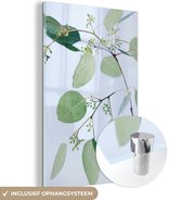 MuchoWow® Glasschilderij 20x30 cm - Schilderij acrylglas - Eucalyptustakken met bladeren - Foto op glas - Schilderijen