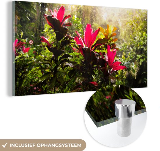 MuchoWow® Glasschilderij 80x40 cm - Schilderij acrylglas - Prachtige bloemen middenin de jungle - Foto op glas - Schilderijen