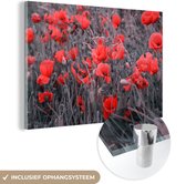 MuchoWow® Glasschilderij 30x20 cm - Schilderij acrylglas - Rode Klaprozen in een zwart wit afbeelding - Foto op glas - Schilderijen