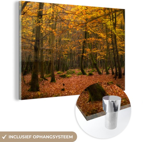 De dichte bossen van het Nationaal park New Forest in Engeland Plexiglas 180x120 cm - Foto print op Glas (Plexiglas wanddecoratie) XXL / Groot formaat!