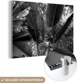 MuchoWow® Glasschilderij 120x80 cm - Schilderij acrylglas - Tropische bladeren in jungle fotoprint - zwart wit - Foto op glas - Schilderijen