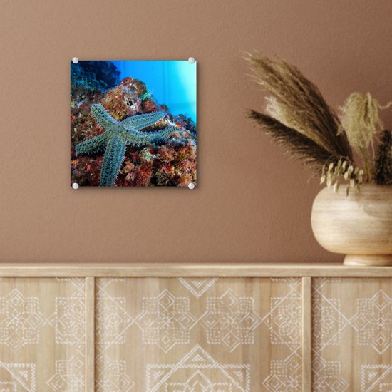 MuchoWow® Peinture sur verre 20x20 cm - Peinture sur verre acrylique - Étoile de mer - Corail - Animaux - Photo sur verre - Peintures