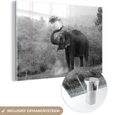 MuchoWow® Glasschilderij 120x80 cm - Schilderij acrylglas - Schoonmakende olifant - zwart wit - Foto op glas - Schilderijen