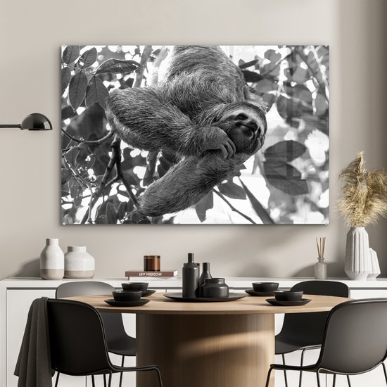 Peinture sur verre - Un paresseux souriant suspendu dans les arbres - noir et blanc - 120x80 cm - Peintures sur Verre Acrylique - Photo sur Glas