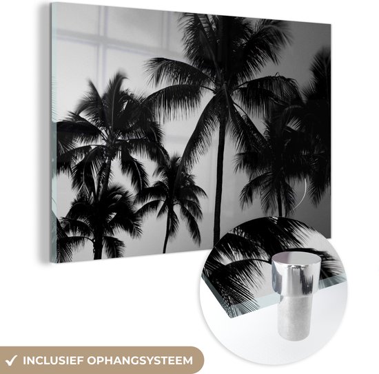 MuchoWow® Glasschilderij 180x120 cm - Schilderij acrylglas - Silhouetten van palmbomen - zwart wit - Foto op glas - Schilderijen