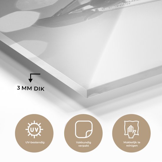 MuchoWow® Peinture sur verre 20x30 cm - Peinture sur verre acrylique - Une planche à voile fait un saut - noir et blanc - Photo sur verre - Peintures