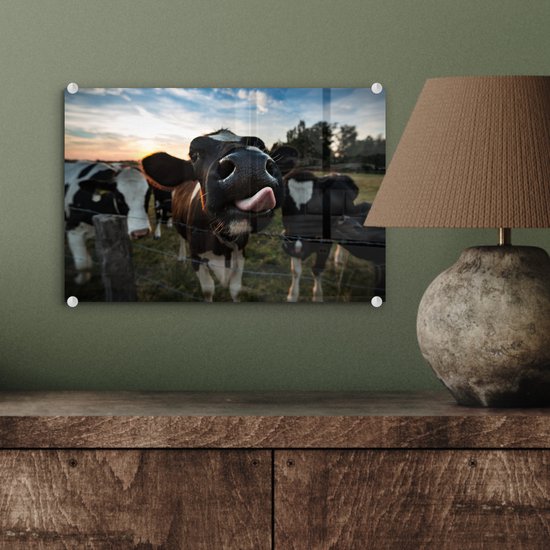 MuchoWow® Peinture sur verre 30x20 cm - Peinture sur verre acrylique - Vache - Animal - Gros plan - Photo sur verre - Peintures