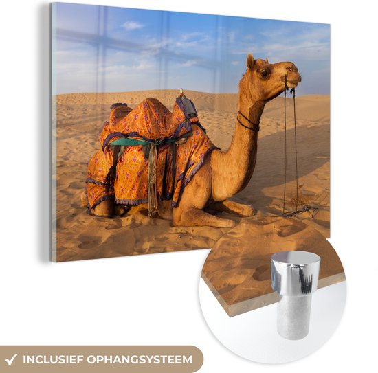 Glasschilderij - Dromedaris kameel in zandduinen - Acrylglas Schilderijen - Foto op Glas