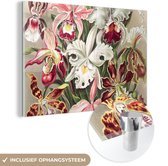 MuchoWow® Glasschilderij 120x80 cm - Schilderij acrylglas - Bloemen - Ernst Haeckel - Vintage - Orchidee - Foto op glas - Schilderijen