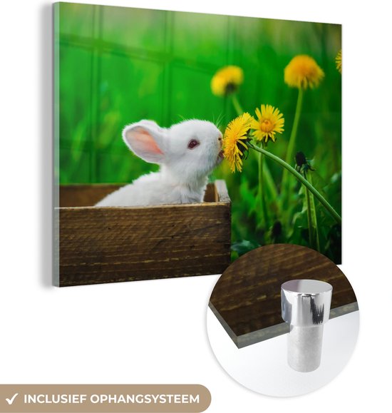 MuchoWow® Glasschilderij 80x60 cm - Schilderij acrylglas - Konijn - Paardenbloem - Gras - Foto op glas - Schilderijen