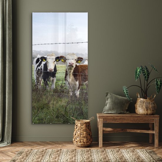 ® Glasschilderij 80x160 cm - Schilderij acrylglas - Koe - Prikkeldraad - Gras - Dieren - Foto op glas - Muurdecoratie woonkamer - Wanddecoratie slaapkamer - Schilderijen