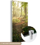 MuchoWow® Glasschilderij 20x40 cm - Schilderij acrylglas - Bos - Bomen - Pad - Zon - Planten - Bladeren - Natuur - Foto op glas - Schilderijen