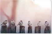 Muurdecoratie Vogels - Mussen - Paaltjes - Hout - 180x120 cm - Tuinposter - Tuindoek - Buitenposter