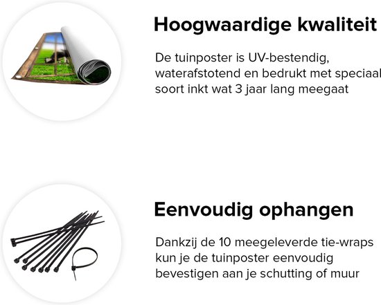 Gards Tuinposter Doorkijk Kudde Koeien in de Wei - Hemel Blauwe Lucht - 150x100 cm - Tuindoek - Tuindecoratie - Wanddecoratie buiten - Tuinschilderij