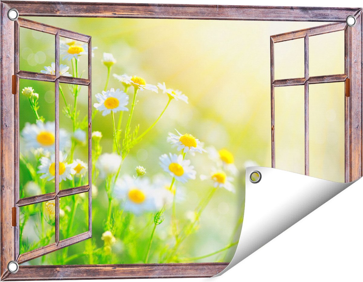Gards Tuinposter Doorkijk Witte Kamille Bloemen met Zonneschijn - 60x40 cm - Tuindoek - Tuindecoratie - Wanddecoratie buiten - Tuinschilderij