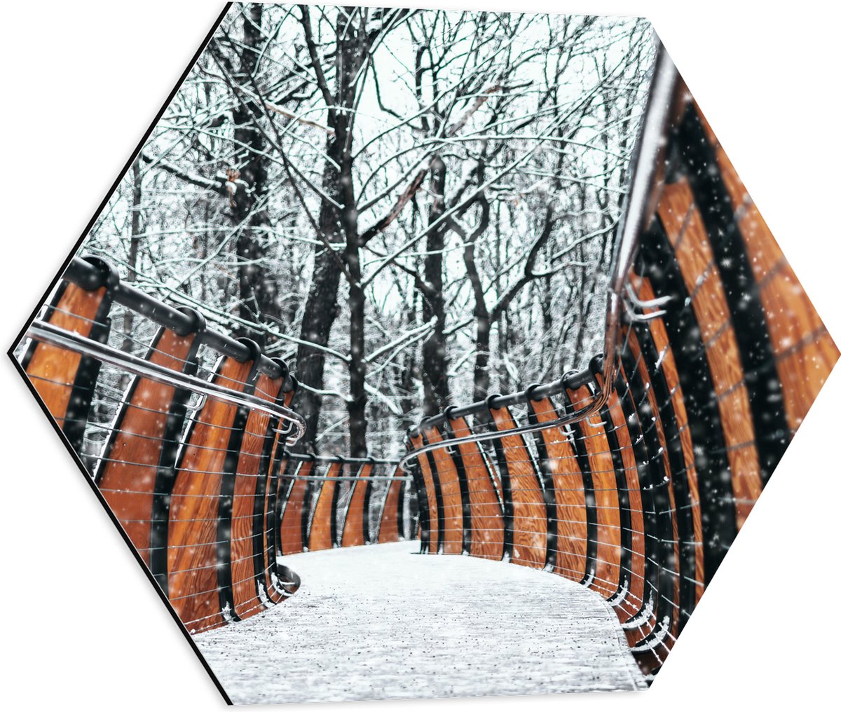 Dibond Hexagon - Hekwerk in Ondergesneeuwd Bos - 50x43.5 cm Foto op Hexagon (Met Ophangsys