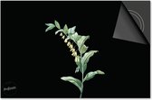 Inductie beschermer 71x52 - afdekplaat inductie mat - Dietrix Kookplaat beschermer - Base - Botanical - Plantje kelkjes op zwart