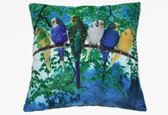 Woon sierkussens grasparkieten print 35 x 35 cm - Vogel print dierenkussen - Kinderkamer accessoires