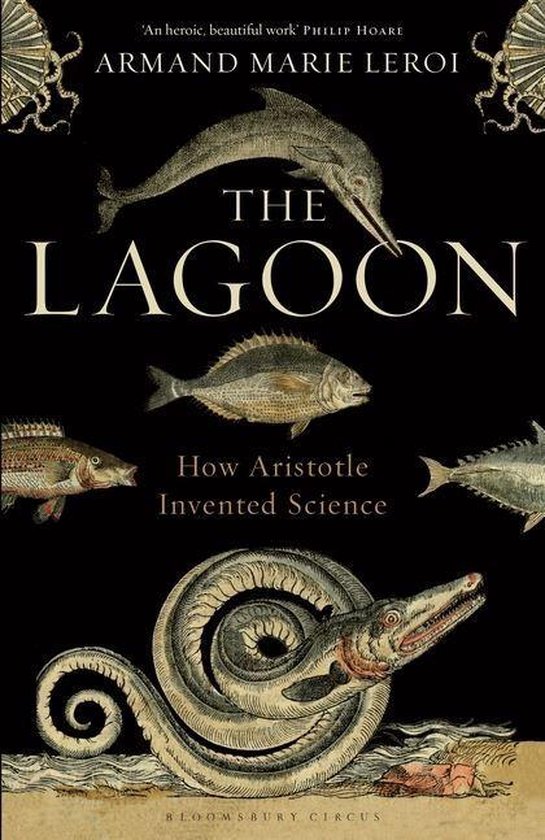 The Lagoon - cover