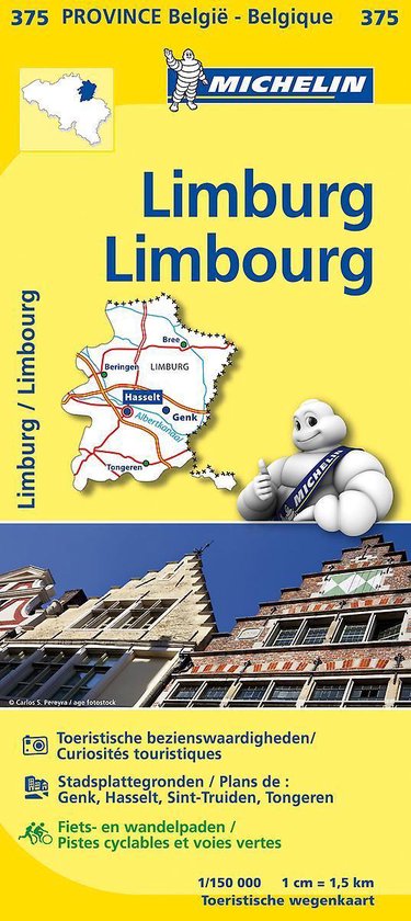 Cover van het boek 'Michelin 376 Liege - Luik'