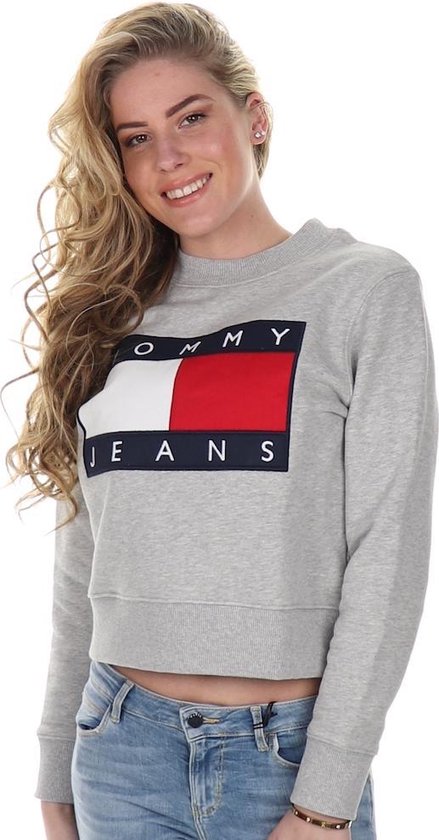 Tommy Jeans Sweater Flagt Grey Htr | bol.