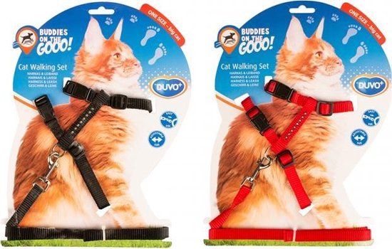Ensemble De Marche Harnais Pour Chat Gros Chat 30 50cm 12mm 125cm Couleurs Bol Com