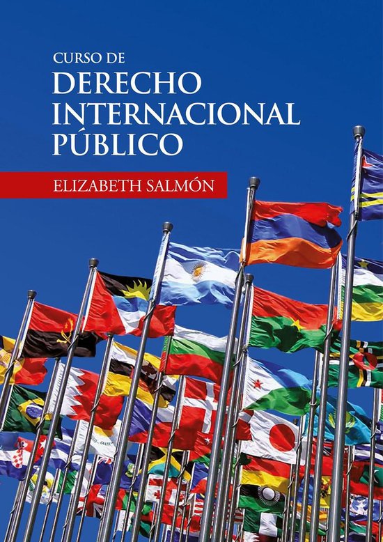 Curso de derecho internacional público - cover