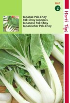 Hortitops - Taisai of Japanse Pak Choy