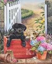 Diamond Painting Puppies in een kratje met bloemen 45x60cm. (Volledige bedekking - Vierkante steentjes) diamondpainting inclusief tools