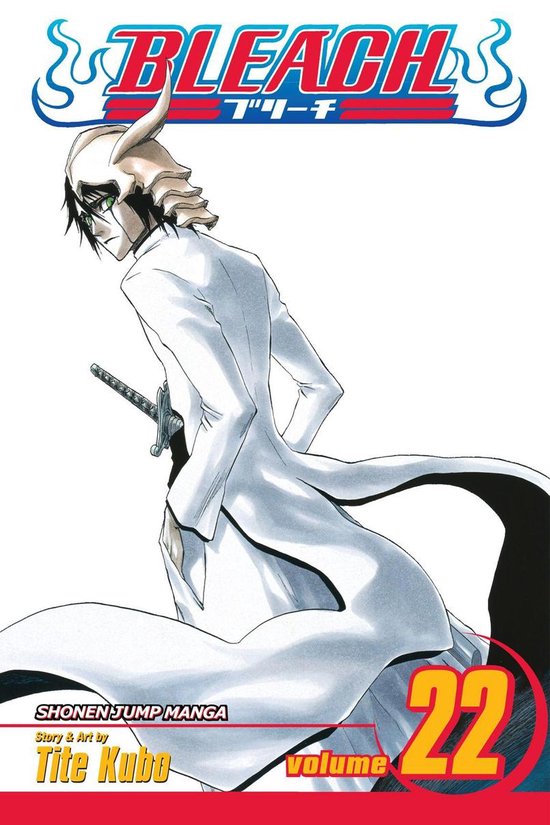 Bleach 22 - Bleach, Vol. 22 - cover