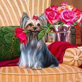 Diamond painting - Hond/puppy - Yorkshire terriër met bloemen - 40x30cm