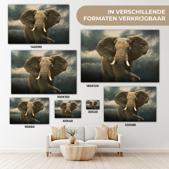 Peintures sur toile - Éléphant d'Afrique contre les nuages sombres - 150x100 cm - Décoration murale