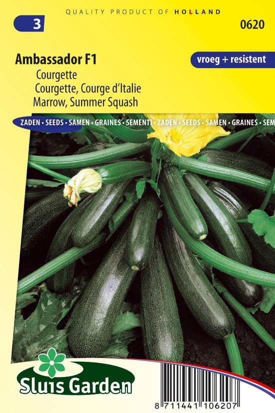 Sluis Garden - Courgette Ambassador F1