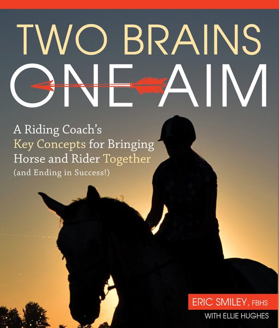 Two Brains, One Aim - cover