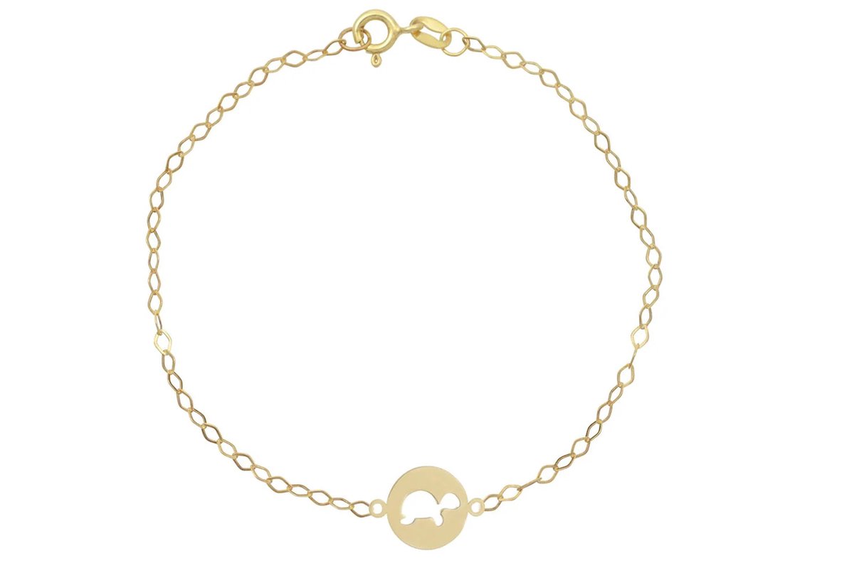 Baby/Kinder Armband Schildpad 14K Goud