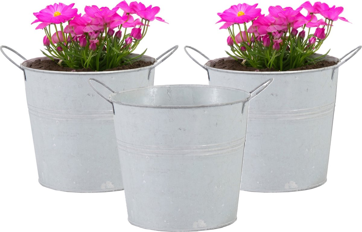 Mega Collections Emmer/plantenpot/bloempot - 3x - zink - whitewash - D14 x H12 cm