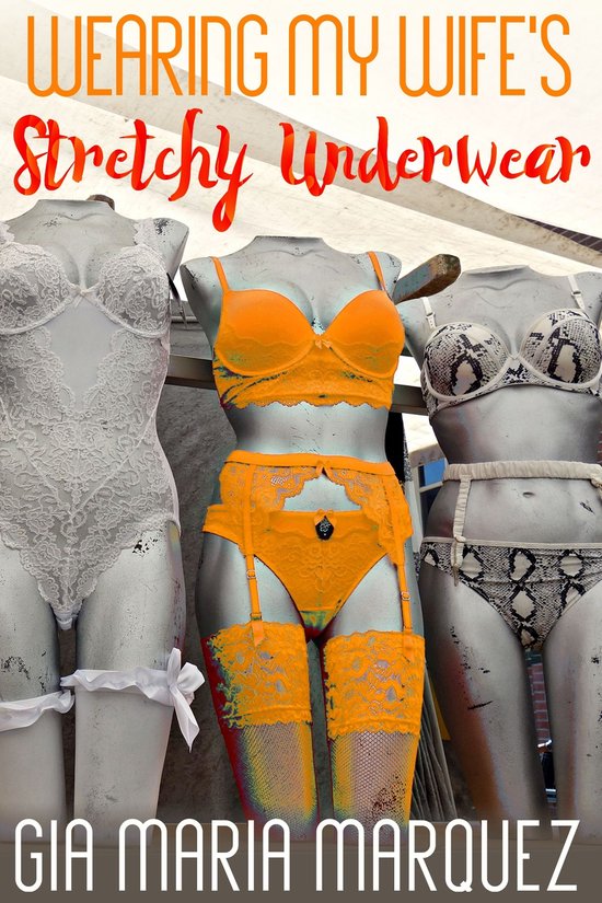 Wearing My Wife's Panties 4 - Wearing My Wife's Stretchy Und ... - cover