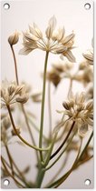 Tuinposter 30x60 cm - Tuindecoratie Droogbloemen - Beige - Wit - Planten - Poster voor in de tuin - Buiten decoratie - Schutting tuinschilderij - Tuindoek muurdecoratie - Wanddecoratie balkondoek