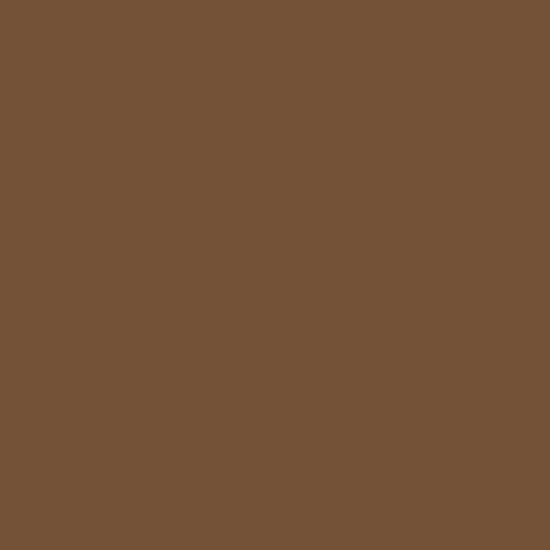 Peinture pour les murs Levis Ambiance - Extra Mat - Orange Ombré B80 - 5L