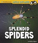 Little Entomologist 4D- Splendid Spiders