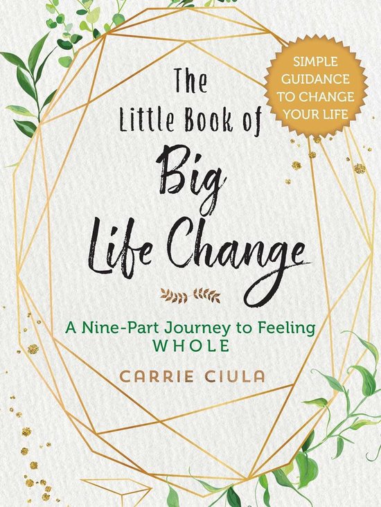 The Little Book of Big Life Change - cover