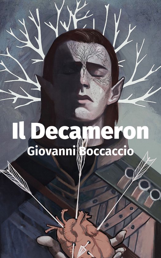 Boek cover Il Decameron van Giovanni Boccaccio (Onbekend)