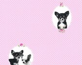 CHIHUAHUA BEHANG | Kinderkamer - zwart roze - A.S. Création Little Stars