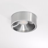 LANOR Opbouwspot LED 1x10W/1000lm Zilver