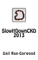 SlowItDownCKD 2013