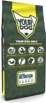 Yourdog Flatcoated Retriever Pup - 12 KG