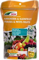 DCM Aardbei Kleinfruit 0,75 kg