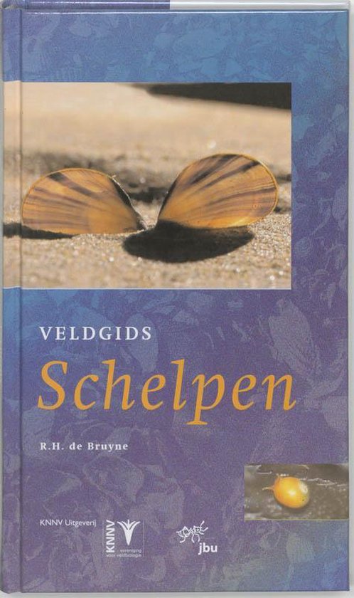 Cover van het boek 'Veldgids schelpen' van R.H. de Bruyne